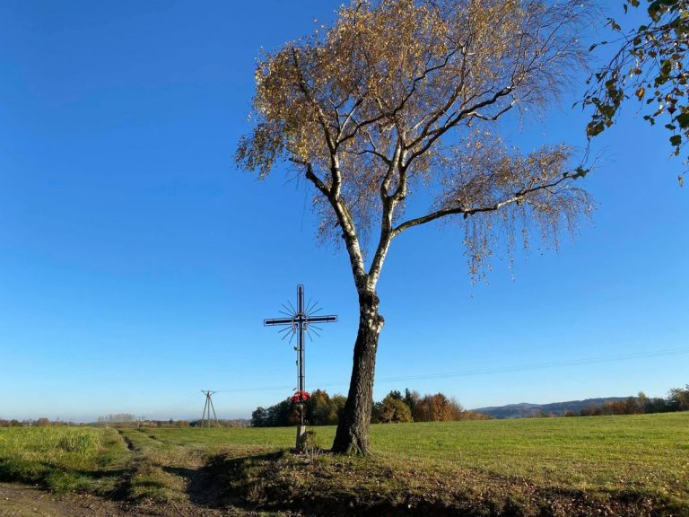 Krzyż i grób poległych w miejscu potyczki Konfederatów Barskich oddziału Pułaskiego Jodłowa powiat dębicki podkarpackie